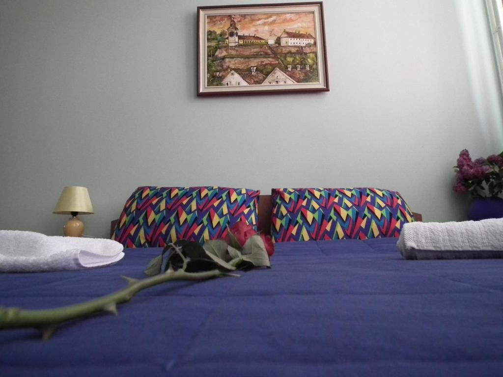 Naša Tvrđava Guest Accommodation Novi Sad Camera foto